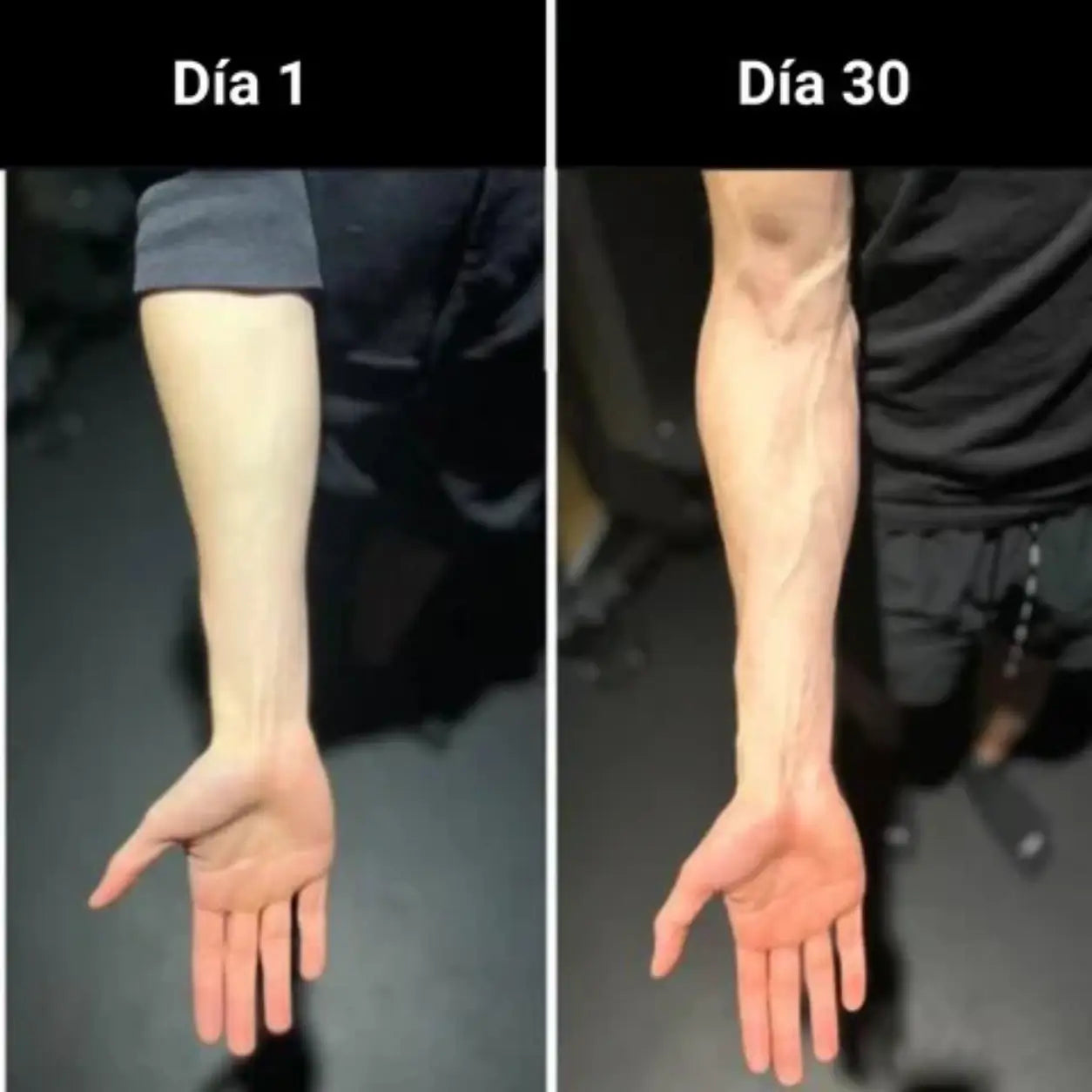 GripForce Pro - Recupera la fuerza de tu mano en semanas